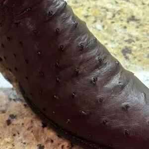 Tecovas | Shoes | Tecovas Mens The Duke Ostrich Roper Boots  display picture 3